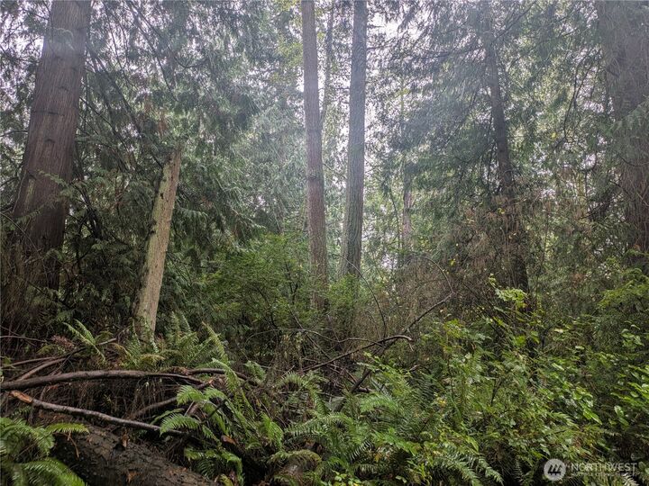 Property Photo:  0 Xxx  Sorrel Lane  WA 98236 