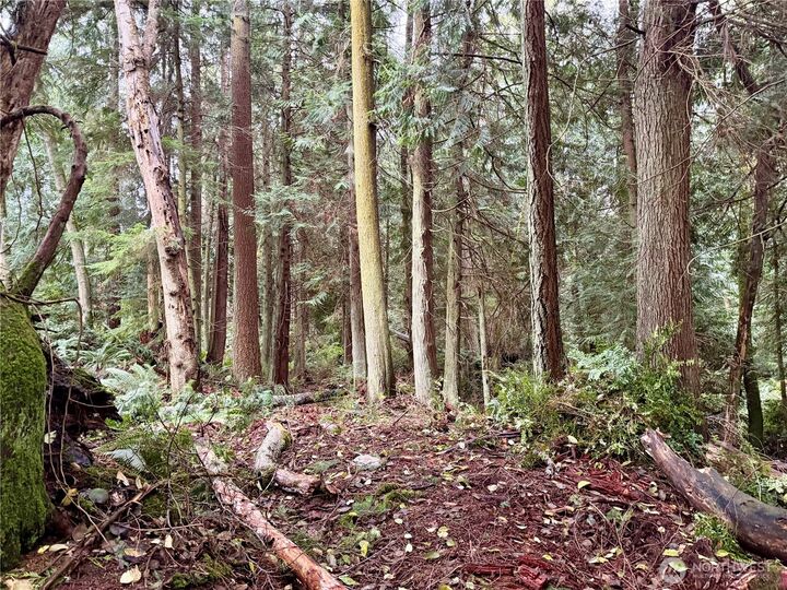 Property Photo: 0 Xxx Sorrel Lane WA 98236