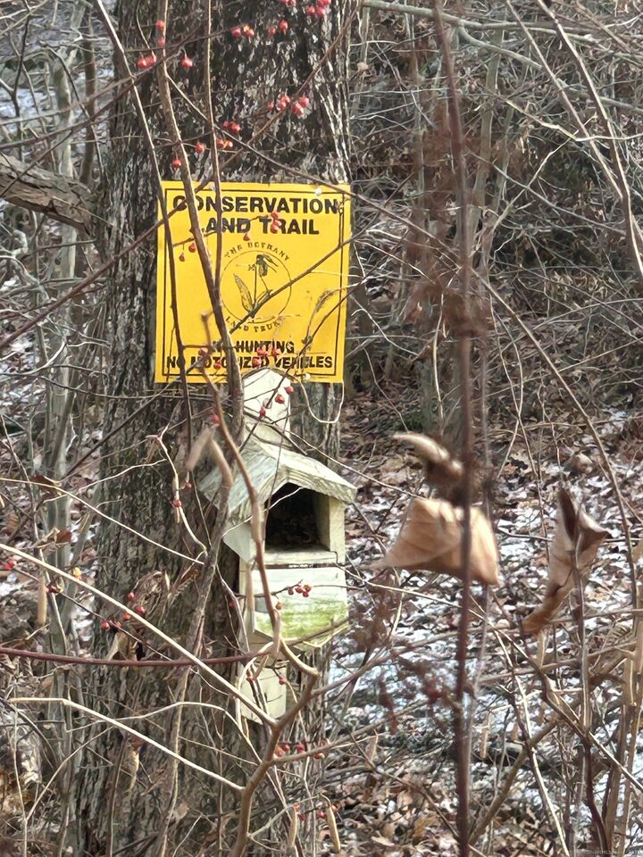 Property Photo:  211 Lasky Road  CT 06403 