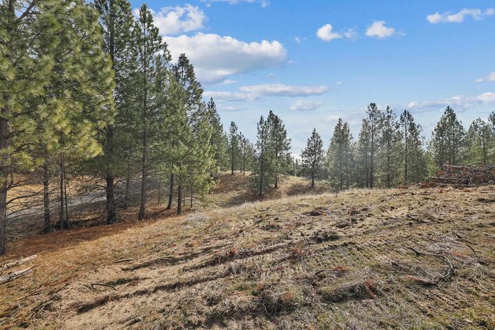 Property Photo:  Nka Lower Weaver Way Lot 3 Of Lot 11  WA 99006 