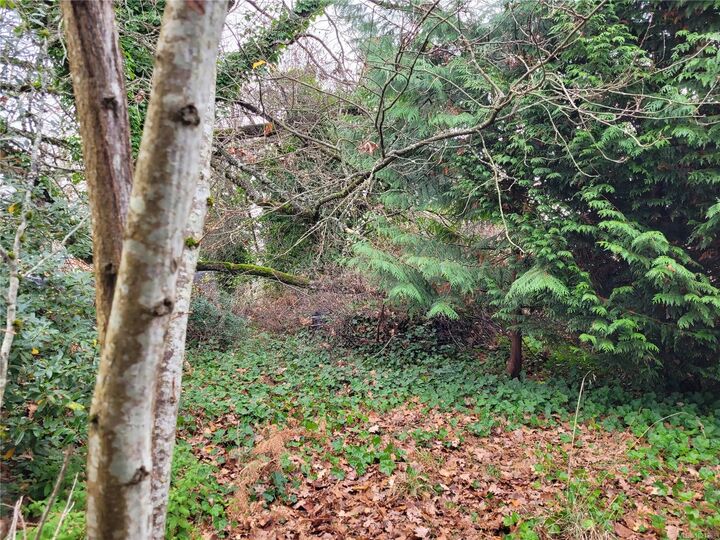 Property Photo:  550 Pythian Lane  BC V9S 1A9 