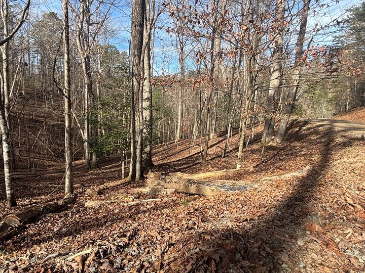 Property Photo:  Lt 727 Armor Court  GA 30540 