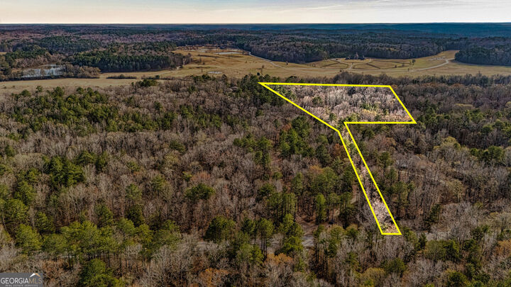 Property Photo:  4295 Hwy 166  GA 30135 