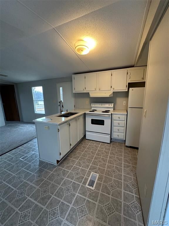 Property Photo: 800 Griffith Street MO 63601