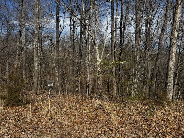 Property Photo:  0 Dakota Ln  TN 37166 