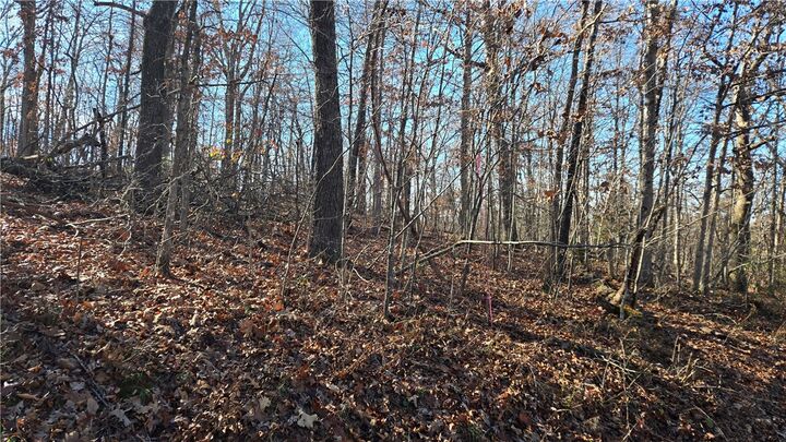 Property Photo:  Lot 8 Embleton Drive  AR 72714 