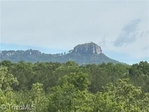 Property Photo: 000 Caudle Road NC 27043