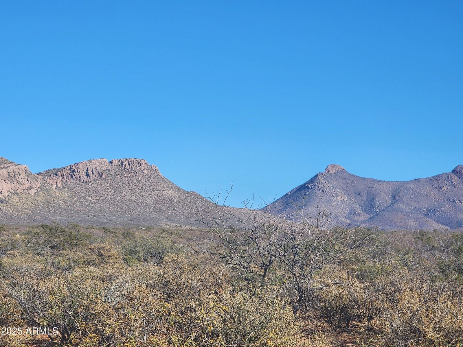 Property Photo:  Xxxx E Cll Principal -- 258  AZ 85607 