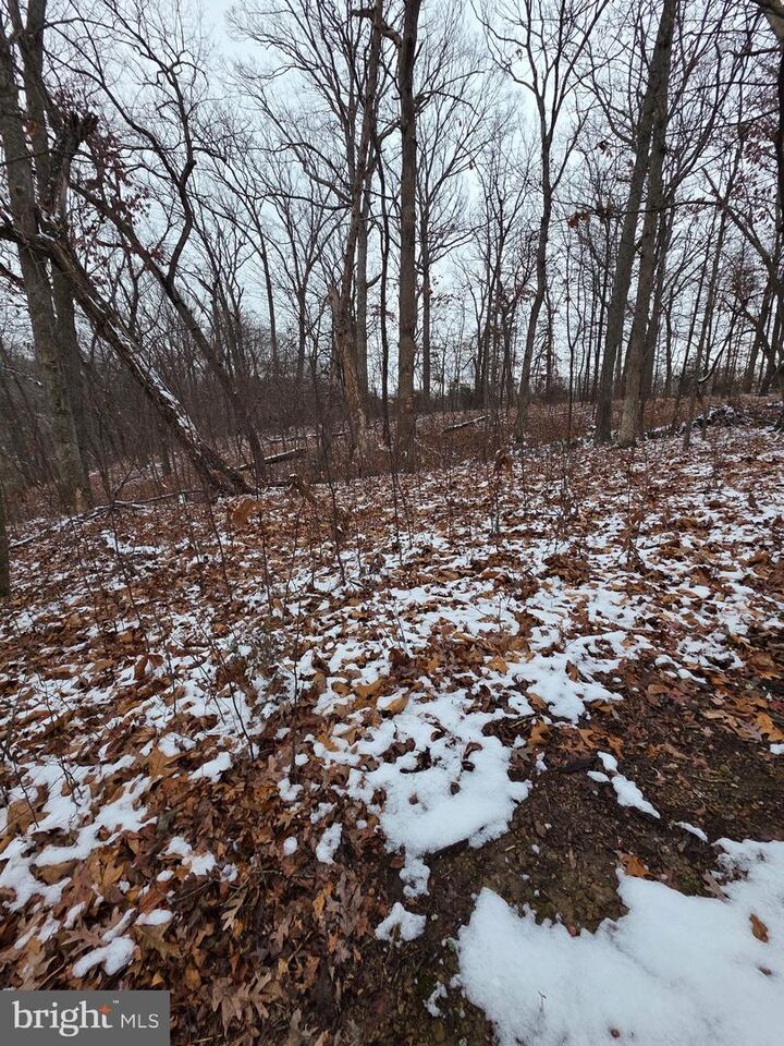 Property Photo:  Huttle  VA 22645 