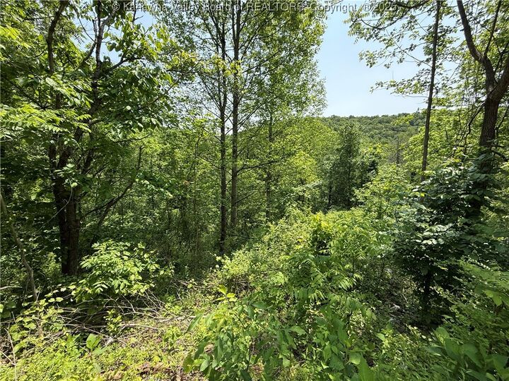 Property Photo: 160 Pine Street WV 25311