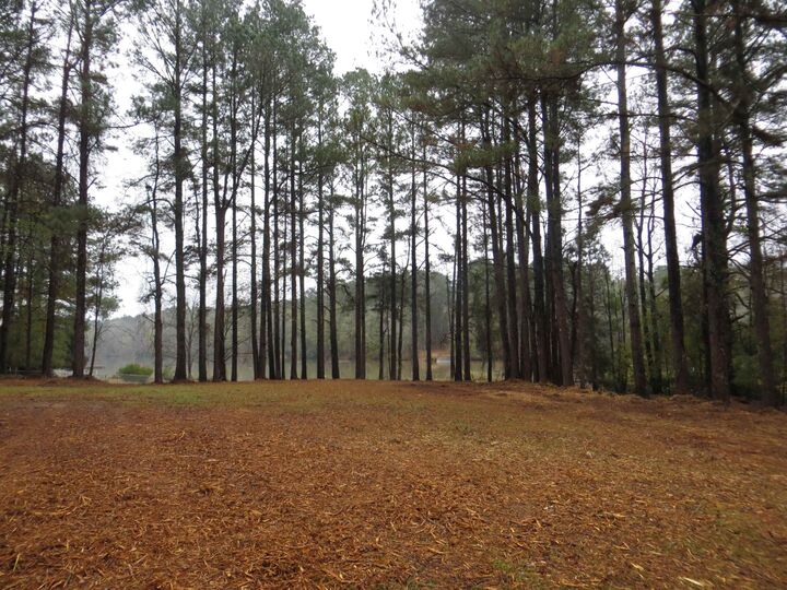 Property Photo: Sugar Creek Trail Lot 10 GA 30625