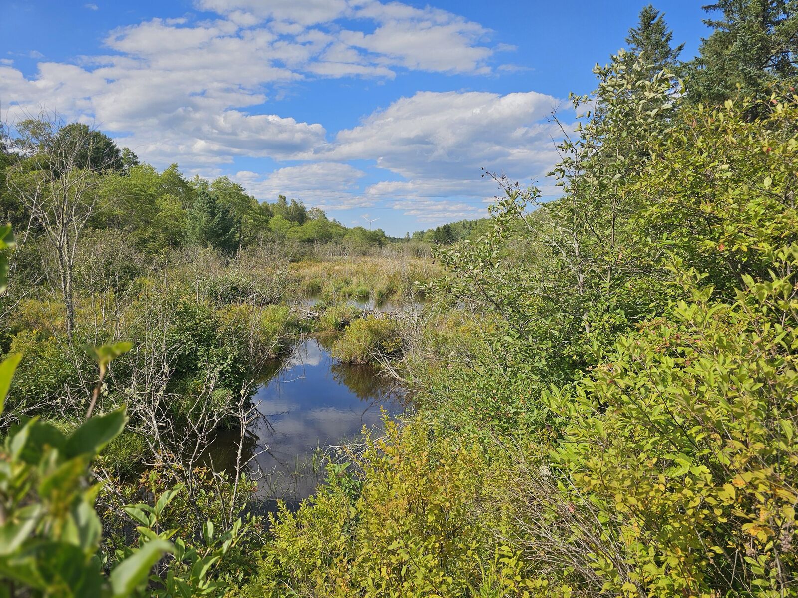 Property Photo:  M2, L4 Off Sacarap Road  ME 04623 