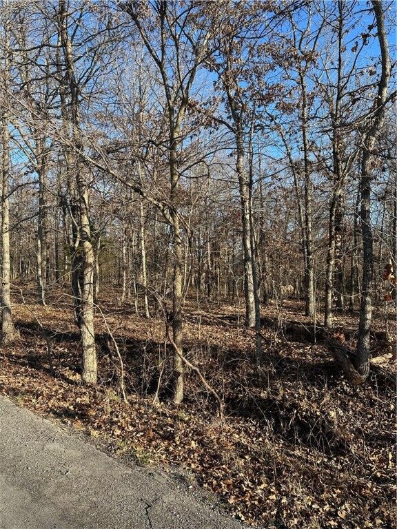 Property Photo:  Lot 17 Peebles Lane  AR 72715 