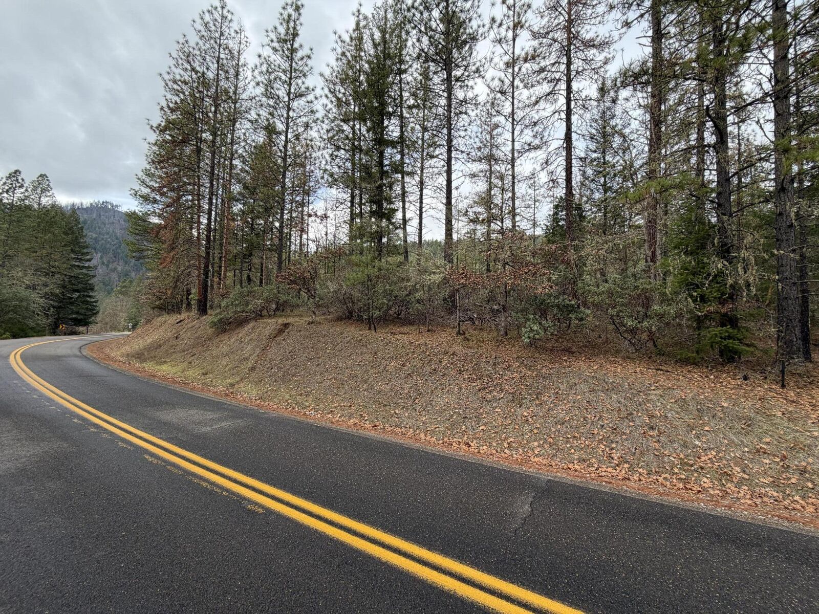 Property Photo: 0 E Evans Creek Road 10149531 OR 97503