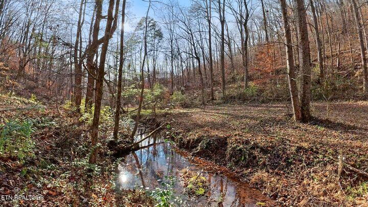 Property Photo: 158 County Road 484 TN 37329