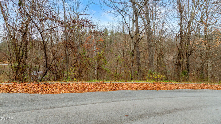 Property Photo: Lot 22 Penelope Lane TN 37876