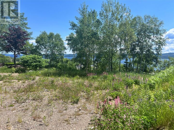 Property Photo:  36 Maple Street  NL A0J 1T0 