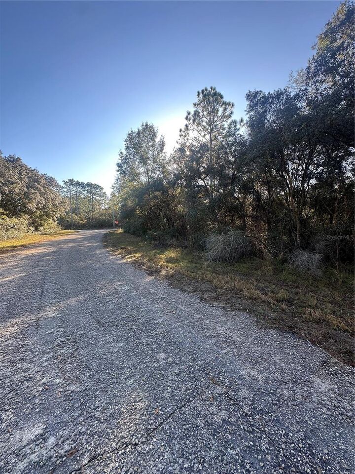 Property Photo: 3908 W Tropic Lane FL 34433