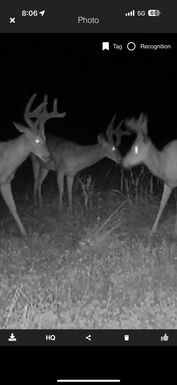 Property Photo:  490 Kelley Road  MI 49274 