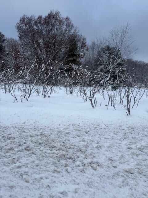 Property Photo:  Mason Drive  MI 49337 