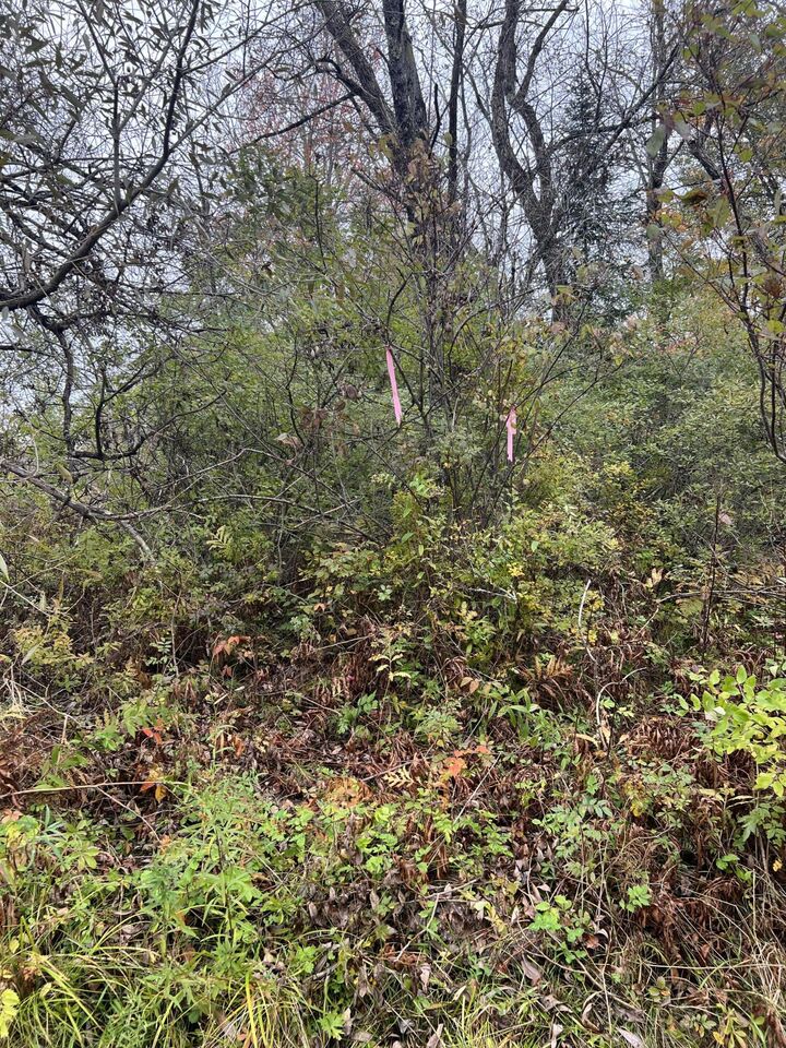 Property Photo: 817 Red Bridge Road ME 04605