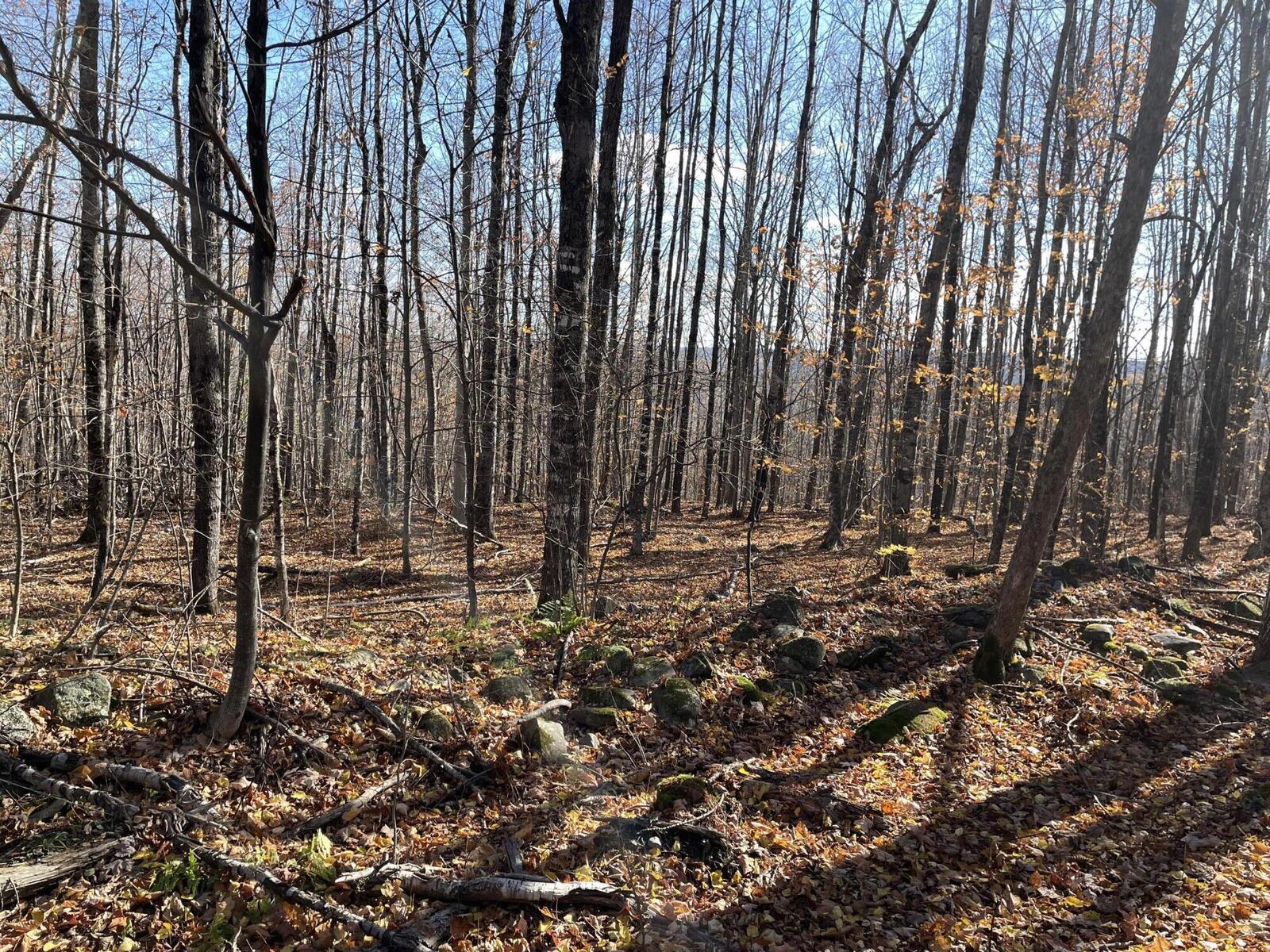 Property Photo: Lot#29 Bradley Drive ME 04942
