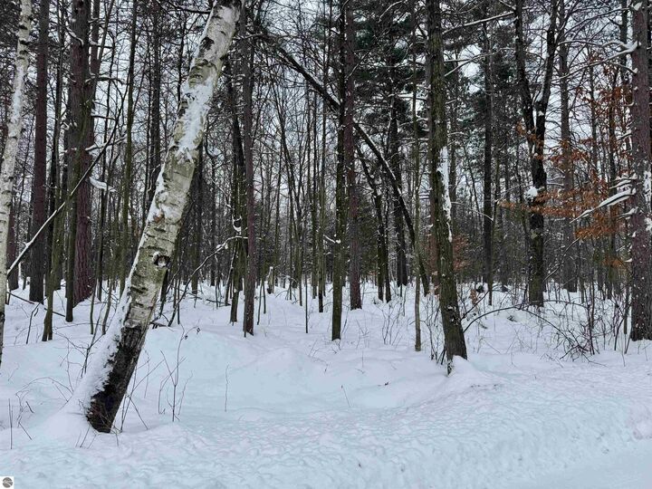 Property Photo: Parcel A 32 1/2 Road MI 49601