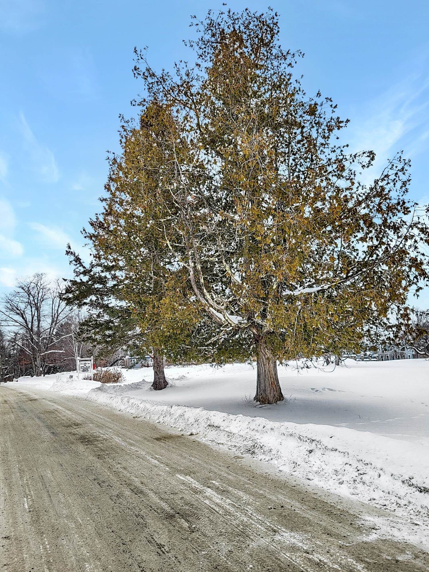 Property Photo:  000 Mountain View Road  NH 03598 