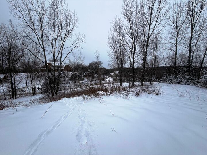 Property Photo: 1339 Birch Park Ridge WI 54082