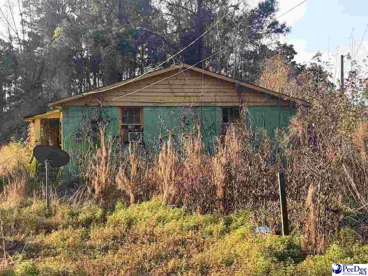 Property Photo: 4420 Holly Berry Lane SC 29501