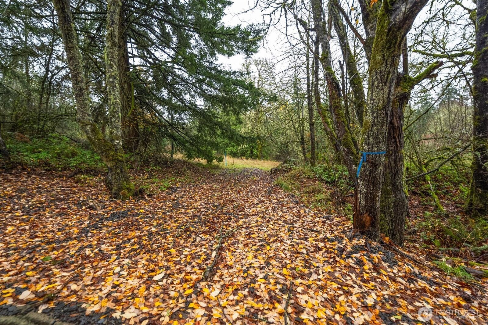 Property Photo:  3  Grimm Road  WA 98626 