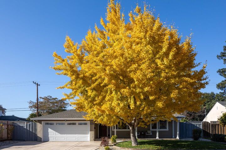 Property Photo: 2381 Rosita Avenue CA 95050