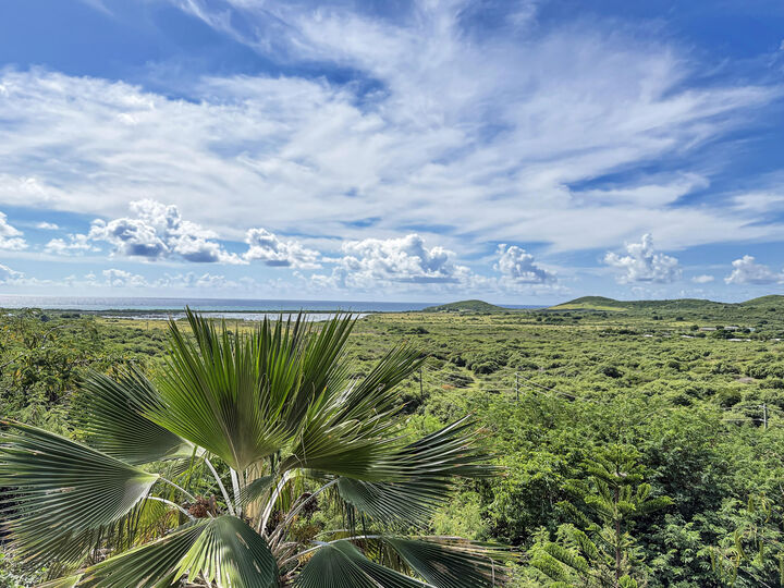 Property Photo:  2-D Sight (The) Ea  VI 00820 