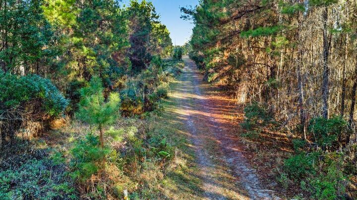 Property Photo: 0 Do Hi Way FL 32046