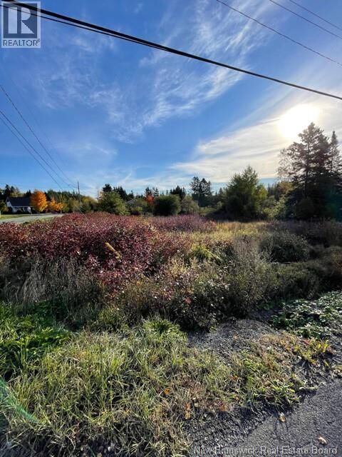 Property Photo:  16 Leonard Street  NB E8E 1W7 