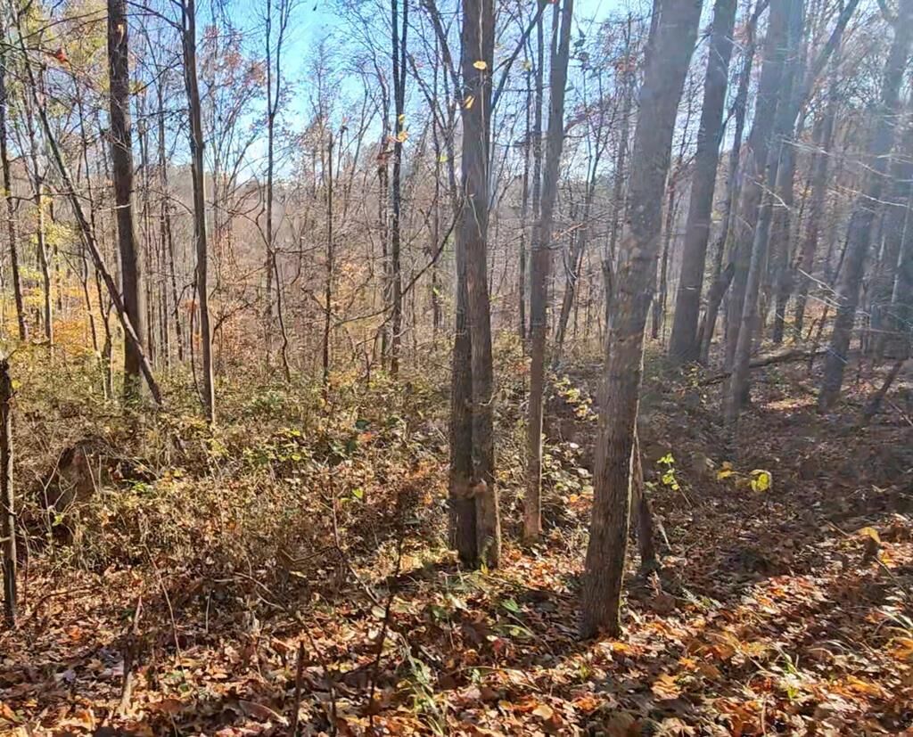 Property Photo:  0000 Spankem Branch Rd  KY 41230 