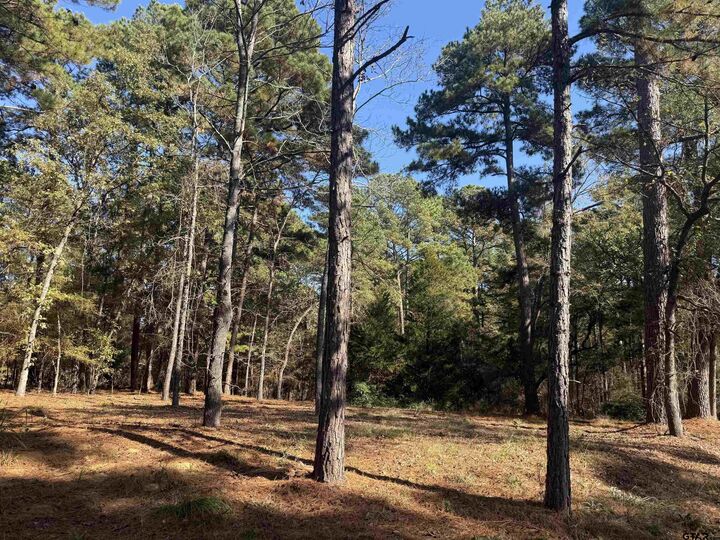 Property Photo: 186 Susan Dr TX 75757