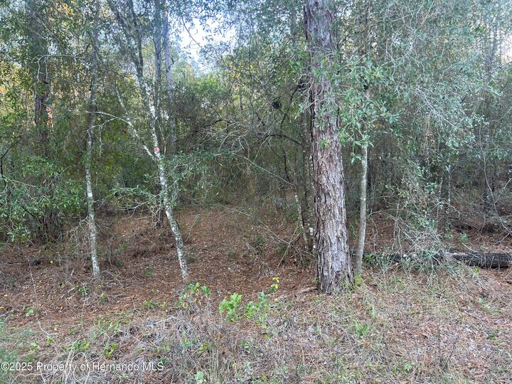 Property Photo:  Lot 4+ Blair Avenue  FL 34604 