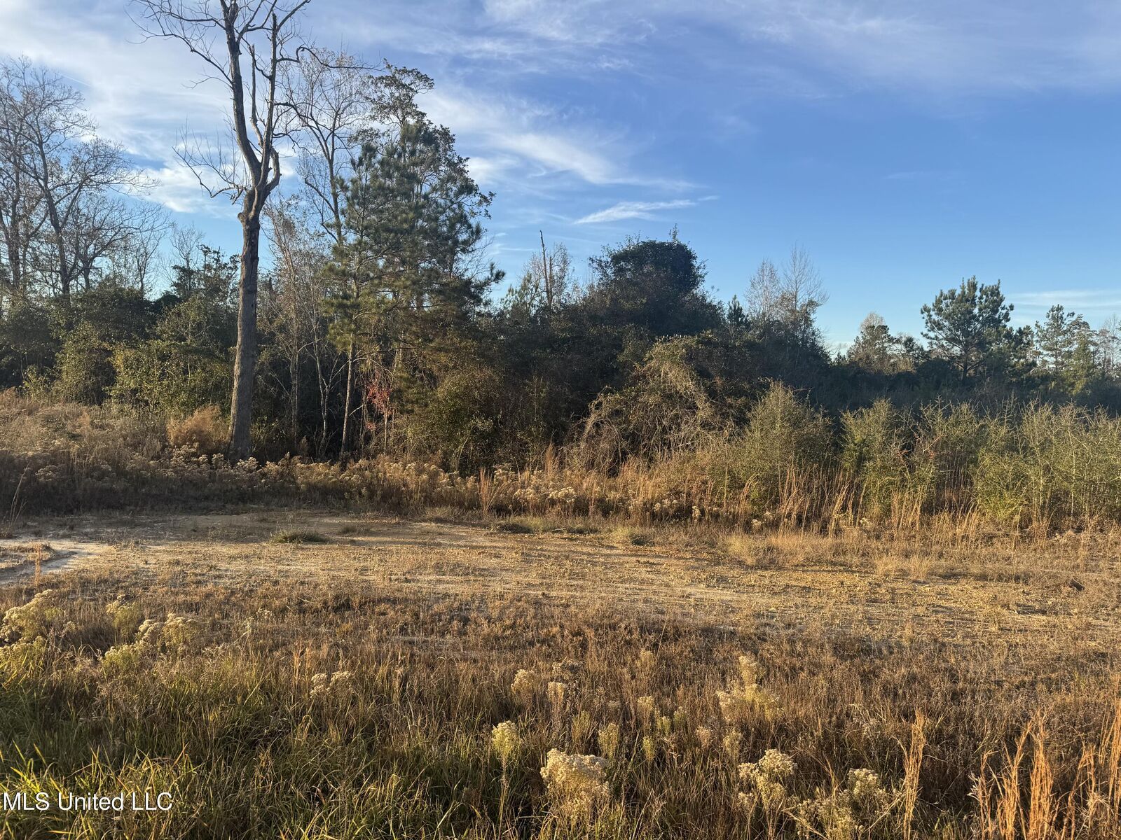 Property Photo:  8 Acres Parker Rd  MS 39561 