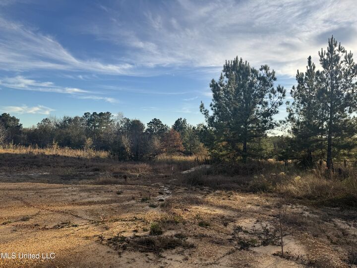 Property Photo:  13 Acres Parker Road  MS 39561 
