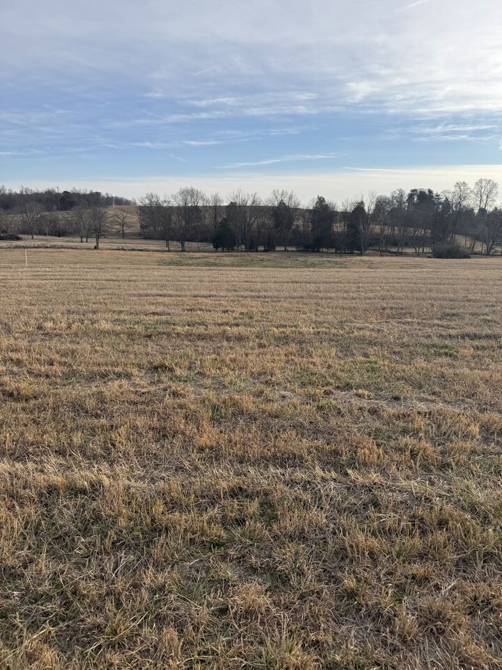 Property Photo:  19 Clay County Hwy  TN 38575 