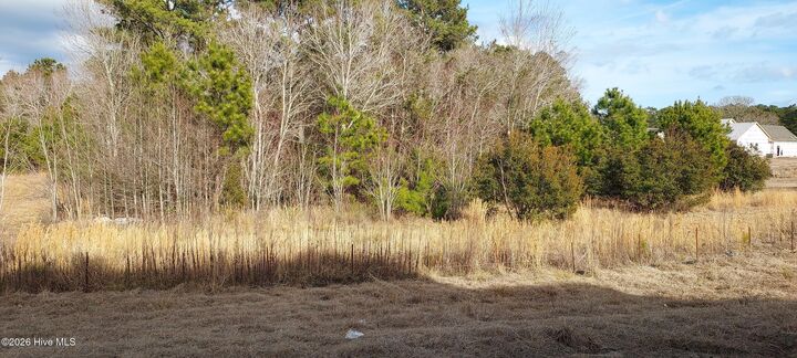 Property Photo:  118 Cripple Creek Drive  NC 28584 