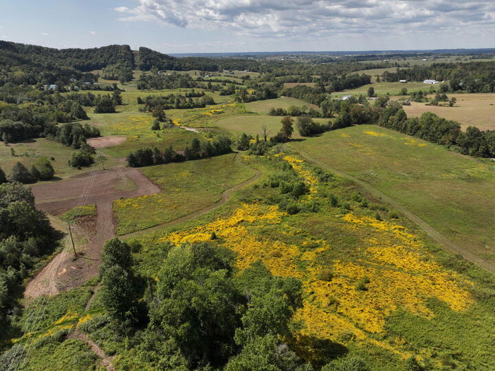 Property Photo: 0 Big Bend Locust Road KY 41049