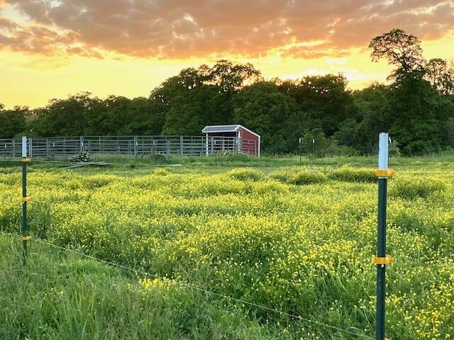 Property Photo: 2.0 Acres E McNelly Road AR 72712