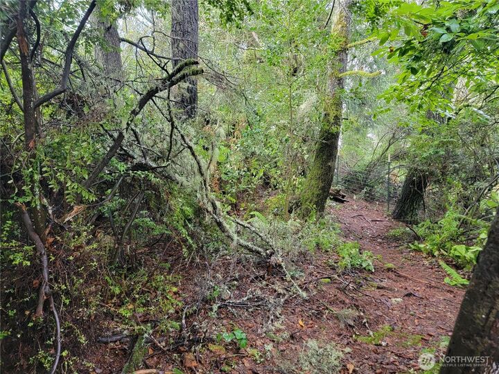 Property Photo:  1543  Dicks Lane  WA 98595 