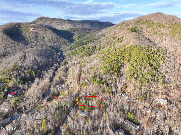 Property Photo: Tbd Black Oak Dr TN 37876