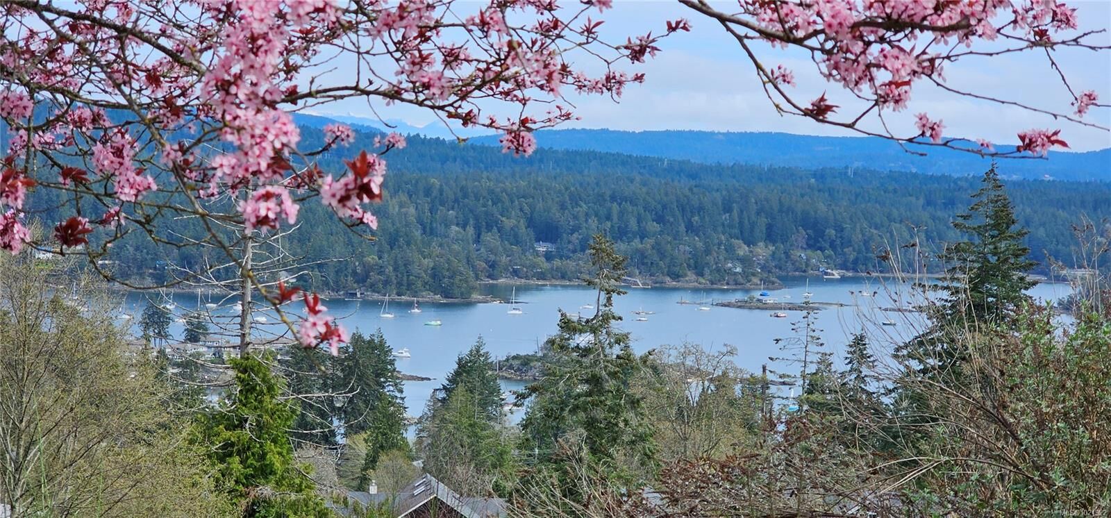 Property Photo: 120 Bishops Walk Rd BC V8K 2W3