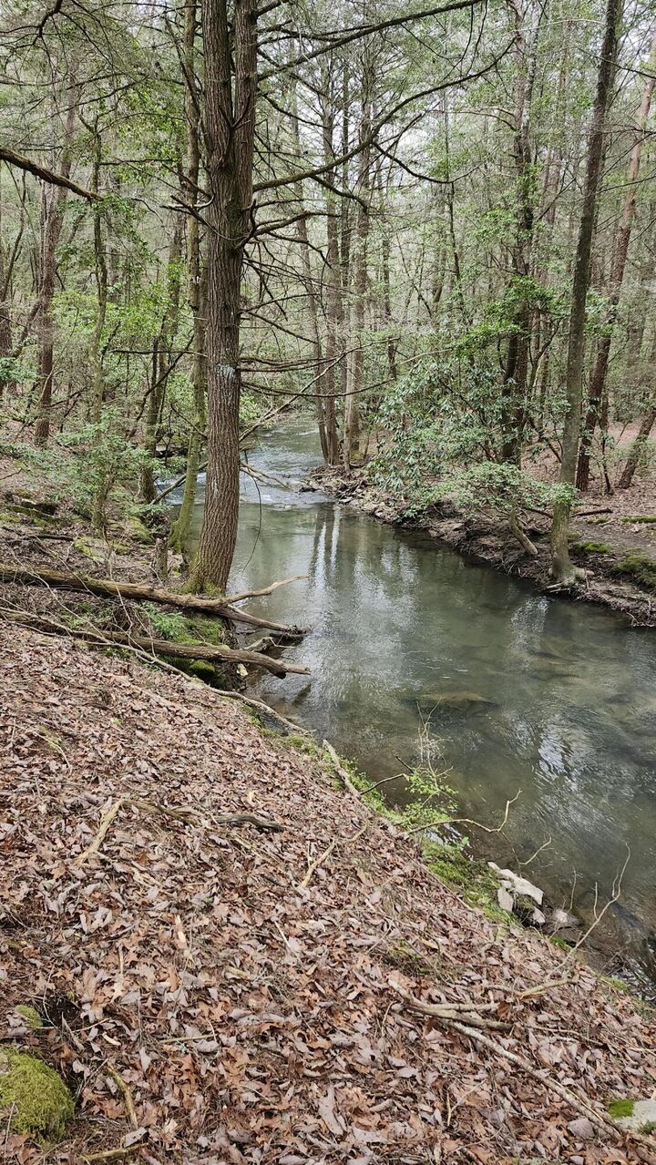 Property Photo: Lots 1,2,3 Old Holywater Rd - E Of Scott Creek TN 37387