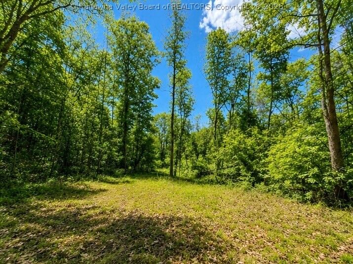 Property Photo:  0 Cedar Drive  WV 25560 