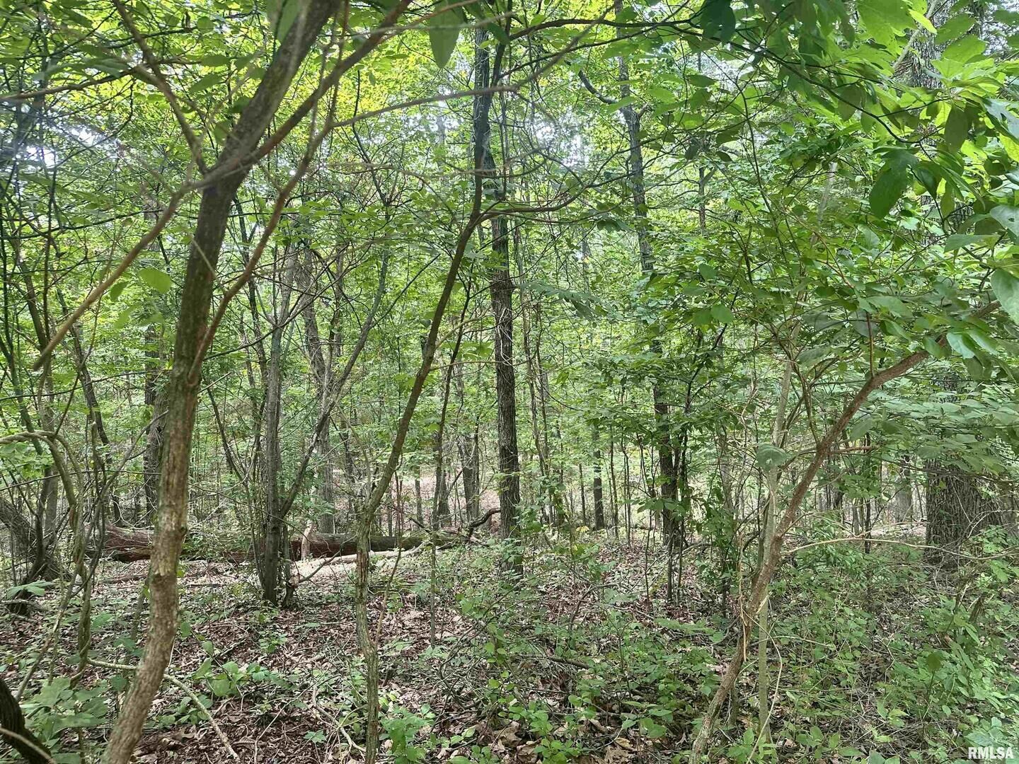 Property Photo:  000 Knob Creek Road  IL 62903 